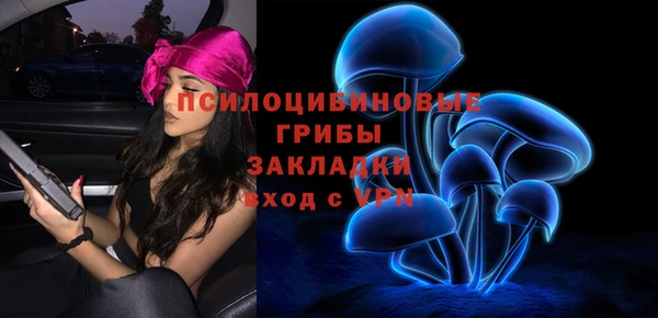 ALPHA PVP Арсеньев