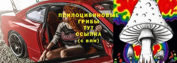 дмт Армянск