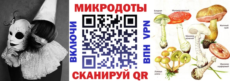 блэк спрут ссылка  Будённовск  Псилоцибиновые грибы ЛСД 